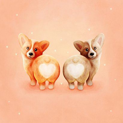 Grappig valentijnskaartje twee corgi's met hartjes 2