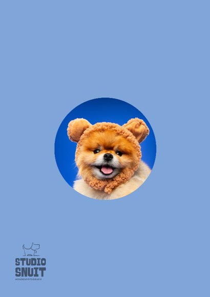 Grappige beterschapskaart dikke knuffel van klein hondje  2