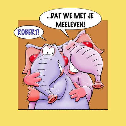Grappige beterschapskaart met olifanten die je beterschap... 3