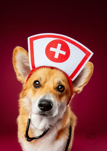 Grappige beterschapskaart van corgi met zuster outfit. 2