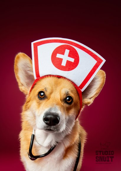 Grappige beterschapskaart van corgi met zuster outfit. 2
