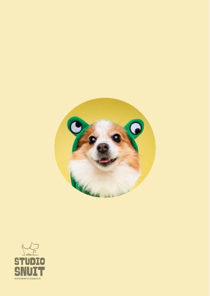 Grappige beterschapskaart van hond in kikkerpakje 2