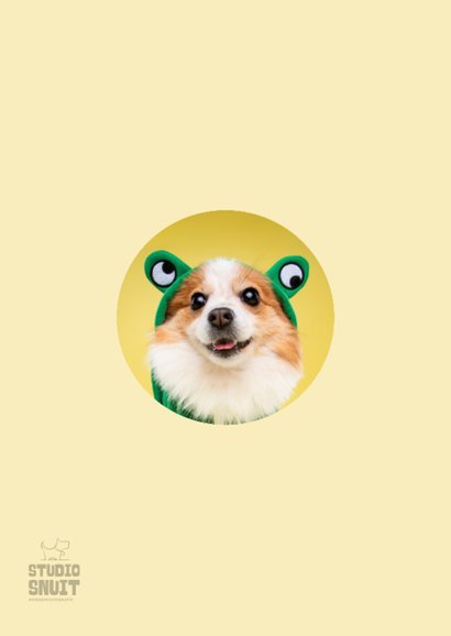 Grappige beterschapskaart van hond in kikkerpakje 2