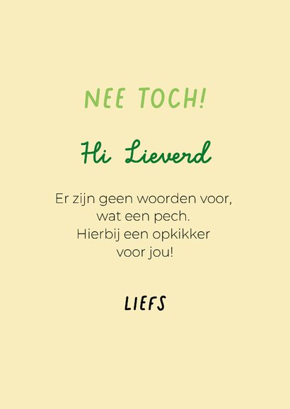 Grappige beterschapskaart van hond in kikkerpakje 3
