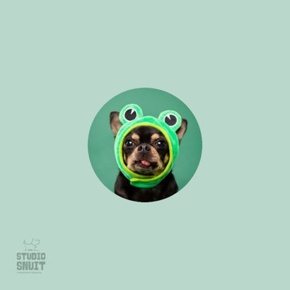 Grappige beterschapskaart van hond met kikkermuts en tong 2