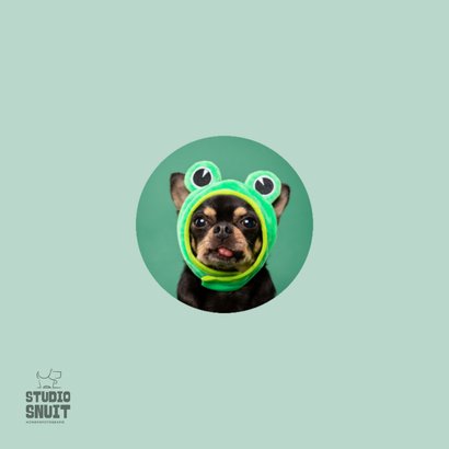 Grappige beterschapskaart van hond met kikkermuts en tong 2