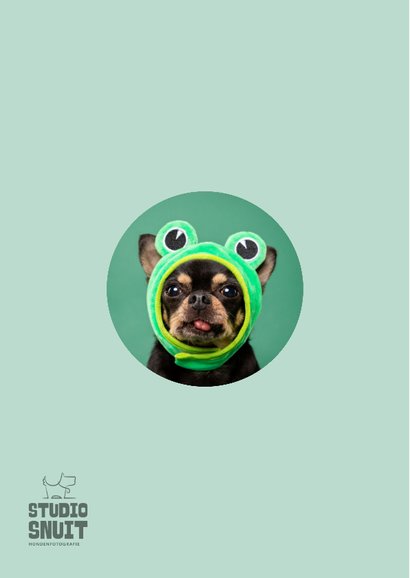 Grappige beterschapskaart van hond met kikkermutsje en tong 2