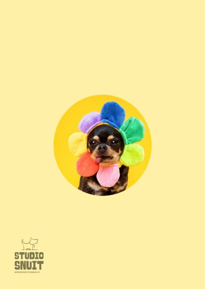 Grappige beterschapskaart van hondje bloemenmuts 2