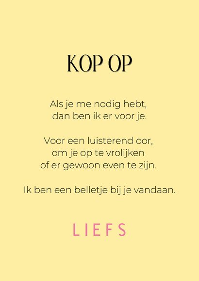 Grappige beterschapskaart van hondje bloemenmuts 3