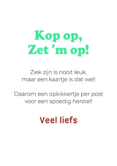 Grappige beterschapskaart van teckel met kikkermutsje 3