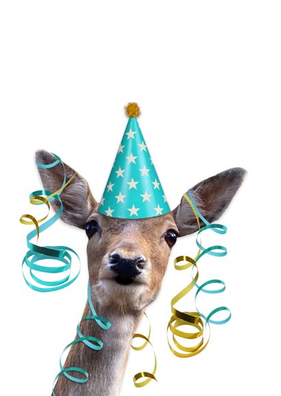 Grappige dieren verjaardagskaart - hert met feesthoedje 2
