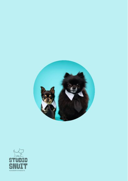 Grappige, felicitatie hondenkaart van hondjes met stropdas 2