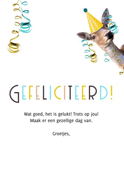 Grappige felicitatiekaart met giraffe met feesthoedje op 3