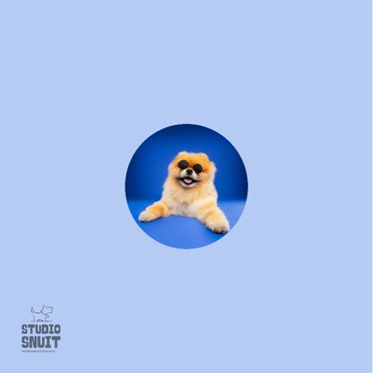 Grappige felicitatiekaart pensioen hondje en zonnebril 2