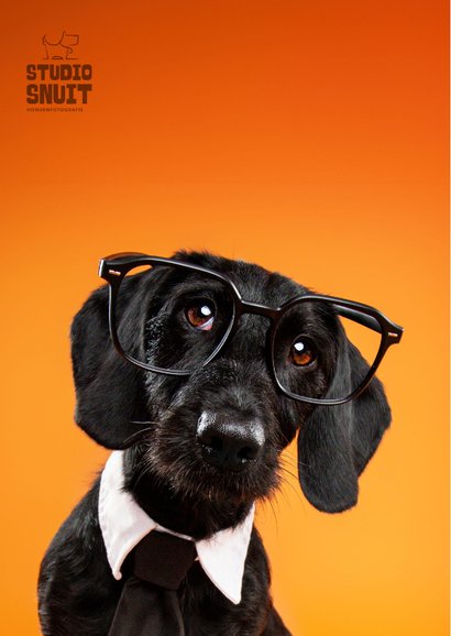 Grappige felicitatiekaart van hond met stropdas en bril 2