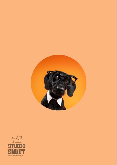 Grappige felicitatiekaart van hond met stropdas en bril 2