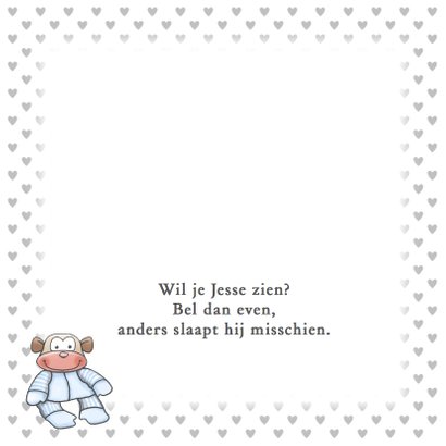 Grappige geboortekaart Hoera jongen en knuffels 2