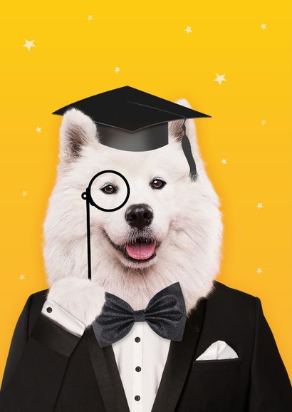 Grappige geslaagd felicitatie kaart met hond 'you smartass' 2
