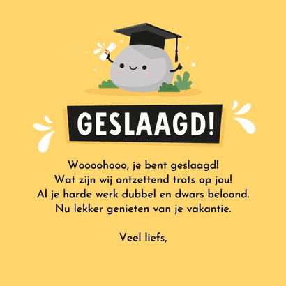 Grappige geslaagd kaart 'keigoed' met steen met oogjes 3