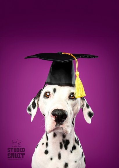 Grappige geslaagd kaart van dalmatiër met geslaagd hoedje 2