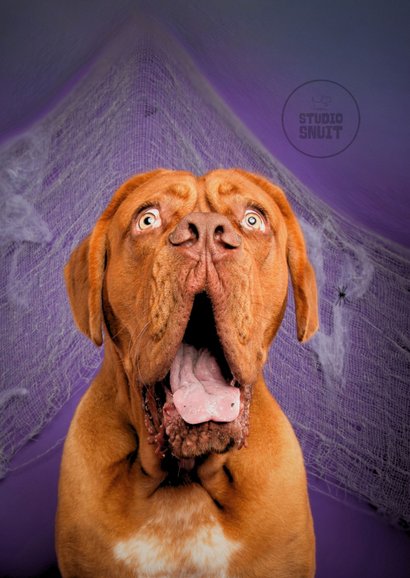 Grappige halloween kaart van hond met open bek 2