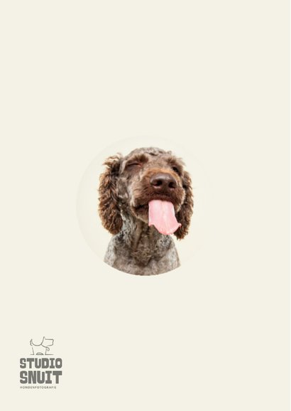 Grappige hondenkaart dikke pakkerd op je wang 2