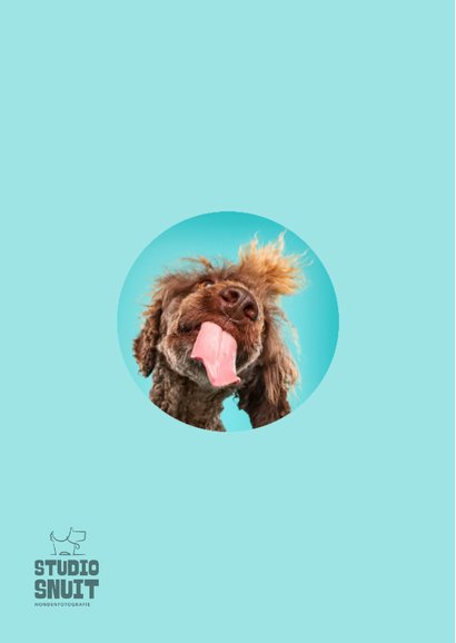 Grappige hondenkaart dikke smakkerd kus door de brievenbus 2