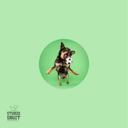 Grappige hondenkaart van chihuahua in actie met voetbal 2