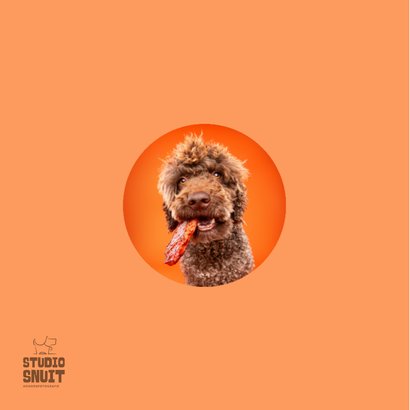 Grappige hondenkaart van hond met stuk vlees in bek 2