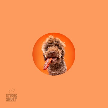 Grappige hondenkaart van hond met stuk vlees in bek 2