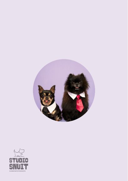 Grappige jubileumkaart van hondjes met stropdas 2