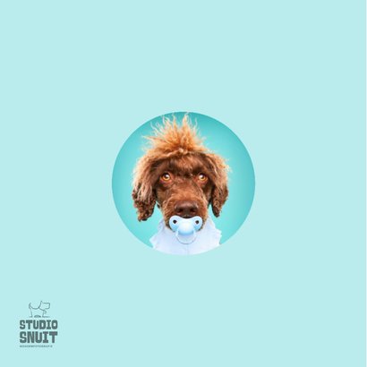 Grappige kaart puppy van hond blauwe speen en slabbetje 2