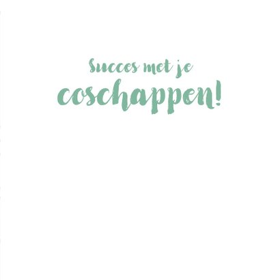 Grappige kaart 'succes met je coschappen' 3