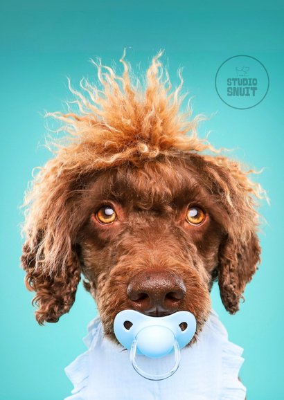 Grappige kaart voor het welkom heten van een puppy reutje 2