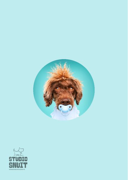 Grappige kaart voor het welkom heten van een puppy reutje 2