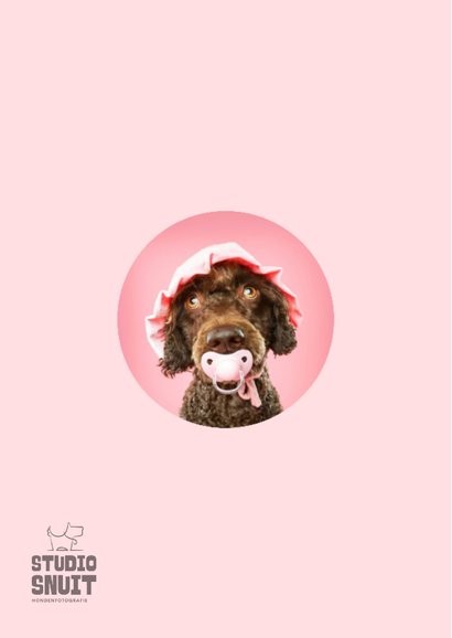 Grappige kaart voor het welkom heten van een puppy teefje 2