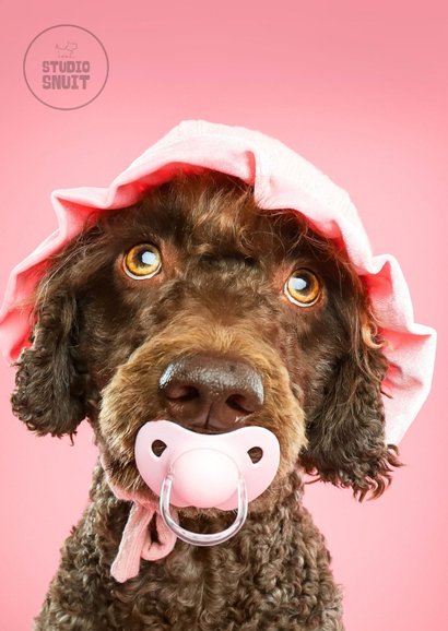 Grappige kaart voor het welkom heten van een puppy teefje 2