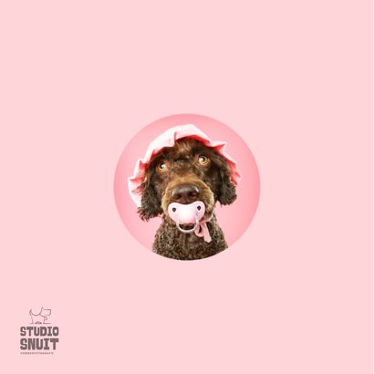 Grappige kaart voor puppy van hond met roze speen en mutsje 2