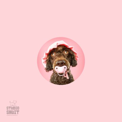 Grappige kaart voor puppy van hond met roze speen en mutsje 2