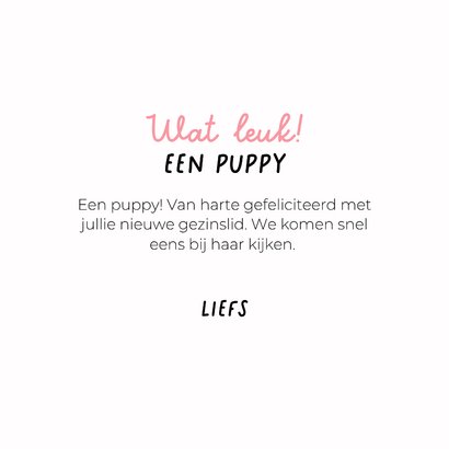 Grappige kaart voor puppy van hond met roze speen en mutsje 3