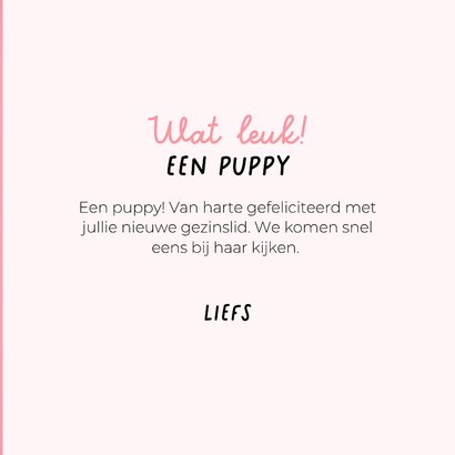 Grappige kaart voor puppy van hond met roze speen en mutsje 3