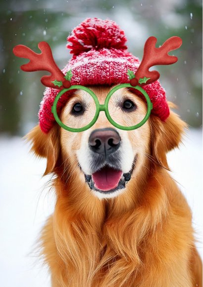 Grappige kerstkaart hond met bril en gewei 2