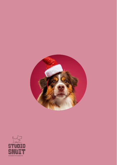 Grappige kerstkaart hond met kerstmuts 2