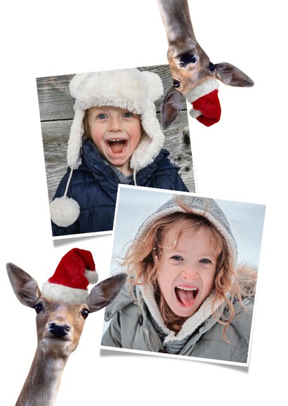 Grappige kerstkaart met foto's van hertjes met kerstmuts op 2
