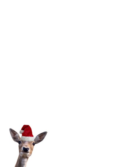 Grappige kerstkaart met foto's van hertjes met kerstmuts op Achterkant