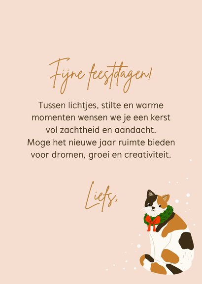 Grappige kerstkaart met katten illustratie 3