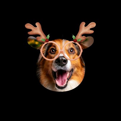 Grappige kerstkaart 'Oh deer!' met gouden sterren 2