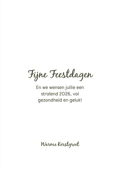 Grappige kerstkaart retro illustratie citroen sinaasappel 3