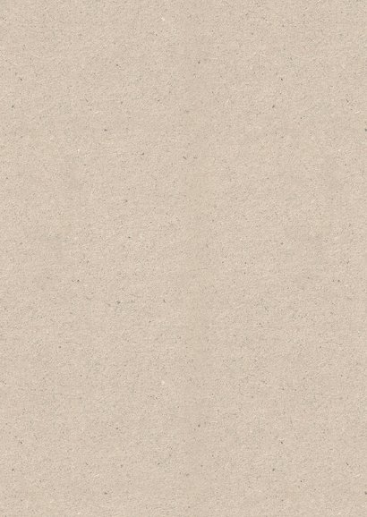 Grappige kerstkaart retro illustratie citroen sinaasappel Achterkant