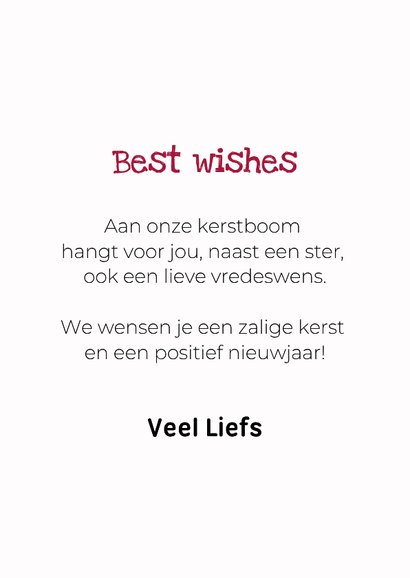 Grappige kerstkaart van boomer hondje met kerstkleding 3